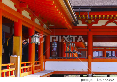 日本三景の厳島神社 日本三景の厳島神社 120772352