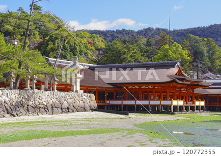 日本三景の厳島神社 日本三景の厳島神社 120772355