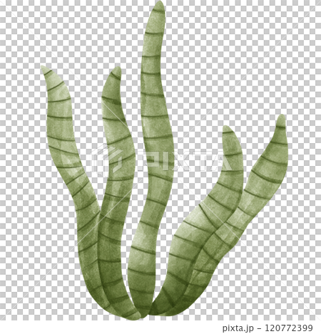 Various colored corals Various colored corals 120772399