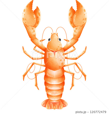 Colorful creatures of the ocean Colorful creatures of the ocean 120772479