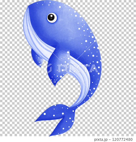 Colorful creatures of the ocean Colorful creatures of the ocean 120772480