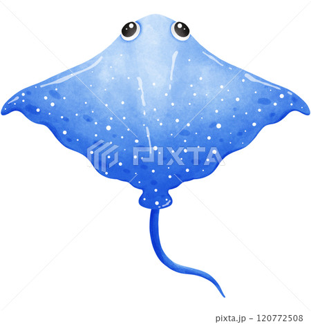 Colorful creatures of the ocean Colorful creatures of the ocean 120772508