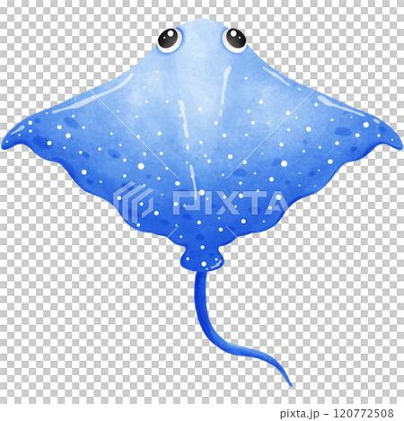 Colorful creatures of the ocean Colorful creatures of the ocean 120772508
