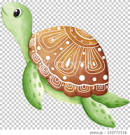 Colorful creatures of the ocean 120772516