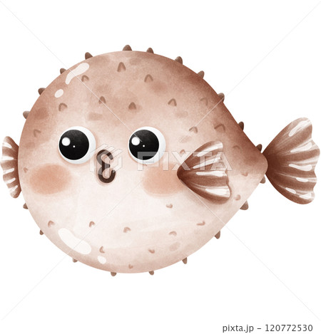 Colorful creatures of the ocean 120772530