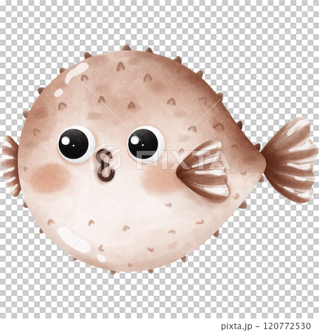 Colorful creatures of the ocean 120772530