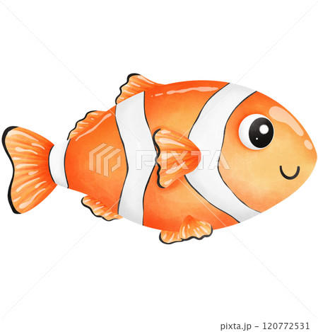 Colorful creatures of the ocean 120772531