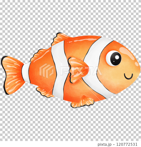 Colorful creatures of the ocean 120772531