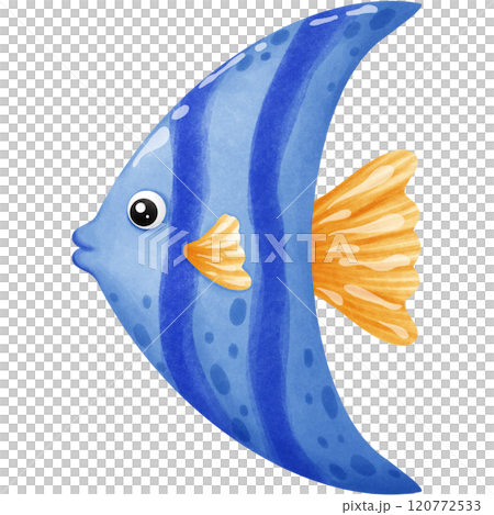 Colorful creatures of the ocean 120772533