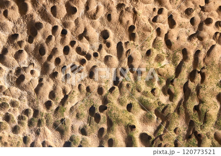Close up of weathered rock surface with erosion patterns and mossy accents 120773521