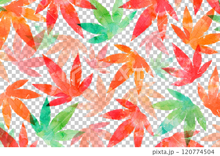 Autumn leaves 120774504