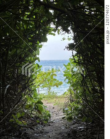 海へと続く道 海へと続く道 120774672