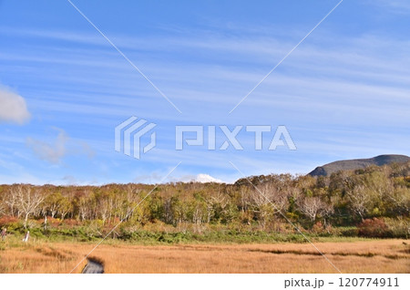 高層湿原の爽やかな秋の景色 高層湿原の爽やかな秋の景色 120774911