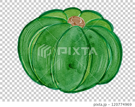 水彩風格有機新鮮南瓜向量插畫素材 120774969