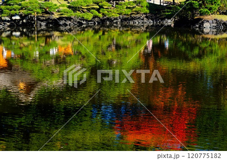 晩秋の浜離宮恩賜庭園 晩秋の浜離宮恩賜庭園 120775182