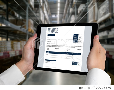 Invoice on computer screen from accounting application. Snugly. 120775379