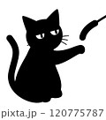 猫じゃらしで遊ぶ猫のイラスト 120775787