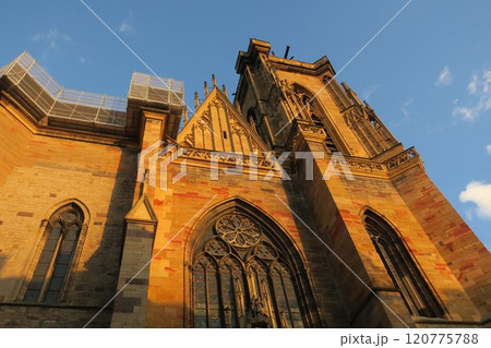 フランス　コルマールの夕景 120775788