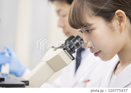 研究 開発 実験イメージ 顕微鏡をのぞく若い女性研究員 研究 開発 実験イメージ 顕微鏡をのぞく若い女性研究員 120775837