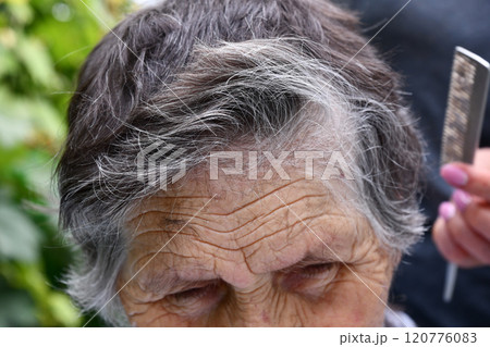 Deep wrinkles on aged skin of forehead 80s woman while cutting her gray hair. Cut off ends of hair cover elderly skin of granny face Deep wrinkles on aged skin of forehead 80s woman while cutting her gray hair. Cut off ends of hair cover elderly skin of granny face 120776083
