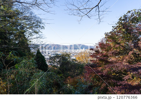 足羽山から見た景色(足羽山公園) 足羽山から見た景色(足羽山公園) 120776366
