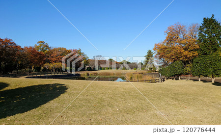 茨城県八千代町の町民公園 茨城県八千代町の町民公園 120776444