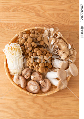 色々なきのこの集合 120776487