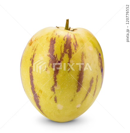 Pepino melon fruit isolated on white background Pepino melon fruit isolated on white background 120776552