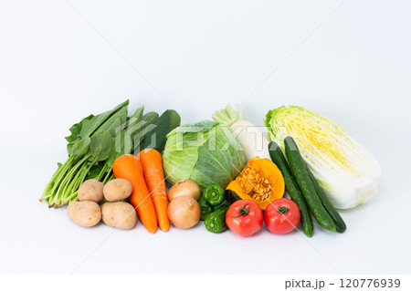 色々な野菜の集合 120776939