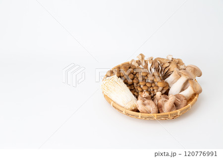 色々なきのこの集合 120776991