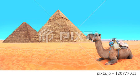 Camel in a colorful horse-clothes resting on the sand near to pyramids, Giza, Cairo, Egypt. Horizontal banner with Dromedary camel and two Great Pyramids, Giza pyramid complex (Giza Necropolis) 120777013