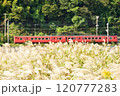 ススキと列車 120777283