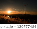 夕日に照らされる風車とススキ 120777484
