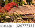 茅葺屋根と紅葉 120777485