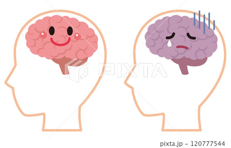 元気な脳とストレスを受けた脳　脳のイメージ　健康 120777544