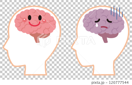 元気な脳とストレスを受けた脳　脳のイメージ　健康 120777544