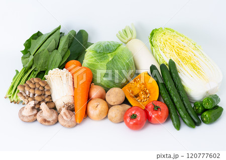 色々な野菜の集合ときのこ 120777602