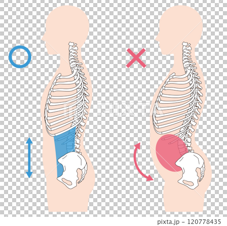 肋骨打開，下背呈拱形，正確的姿勢和下背呈拱形 120778435