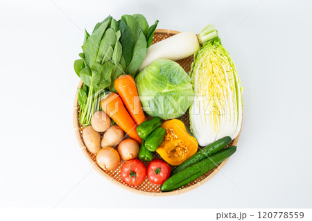 色々な野菜の集合 120778559