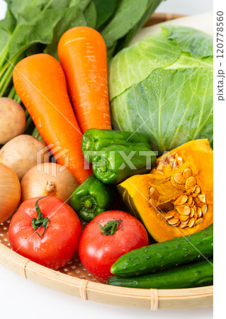 色々な野菜の集合 120778560