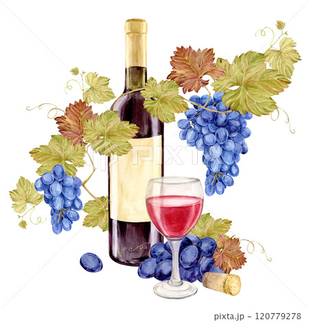 Watercolor red wine bottle with old paper label. Hand drawn clipart of alcoholic drink for party and event. Illustration for tasting, menu, cafe, bar, posters and wine list design. 120779278