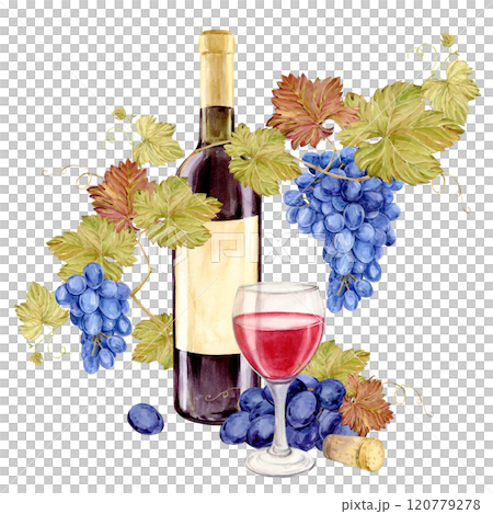 Watercolor red wine bottle with old paper label. Hand drawn clipart of alcoholic drink for party and event. Illustration for tasting, menu, cafe, bar, posters and wine list design. 120779278