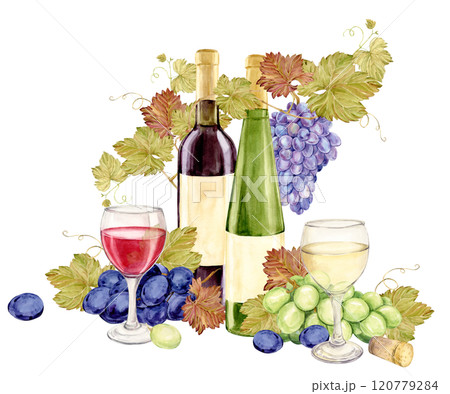 Composition with wine bottles and grape vines. Red and white wine in glasses. Green and blue grapes lie on the table. Watercolor illustration for restaurant menu, wine list. 120779284