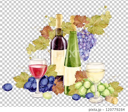 Composition with wine bottles and grape vines. Red and white wine in glasses. Green and blue grapes lie on the table. Watercolor illustration for restaurant menu, wine list. 120779284