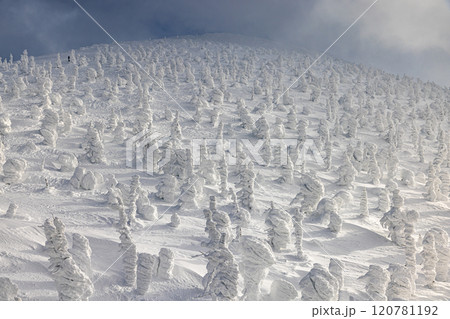 山形県　蔵王の樹氷 120781192