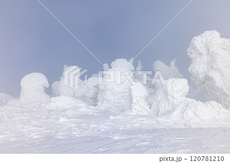 山形県 蔵王の樹氷 山形県 蔵王の樹氷 120781210