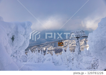 山形県　蔵王の樹氷 120781226