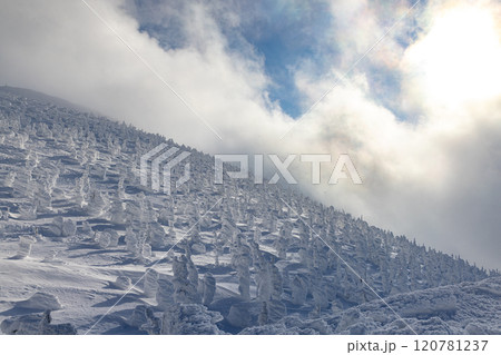 山形県 蔵王の樹氷 山形県 蔵王の樹氷 120781237