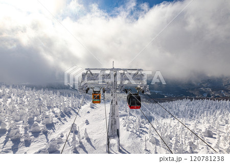 山形県 蔵王の樹氷 山形県 蔵王の樹氷 120781238