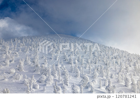 山形県　蔵王の樹氷 120781241
